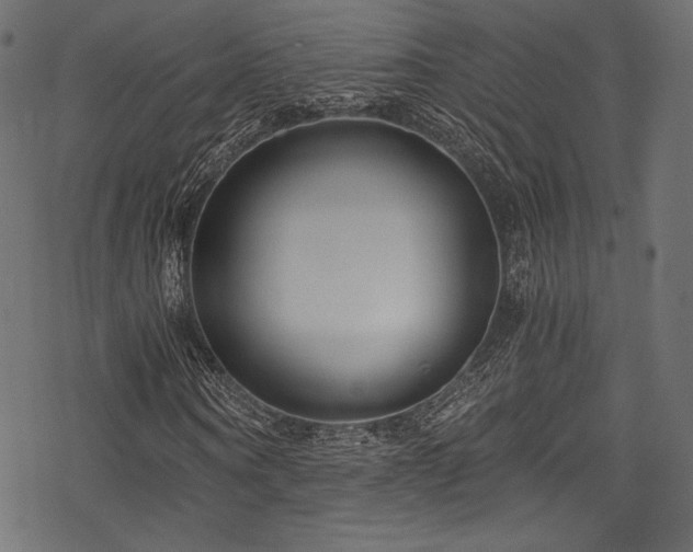 X0000078260866200611031200