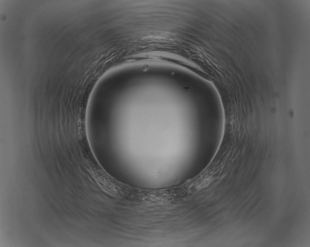 X0000078260868200611031200