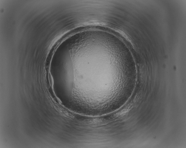 X0000078260879200611031200