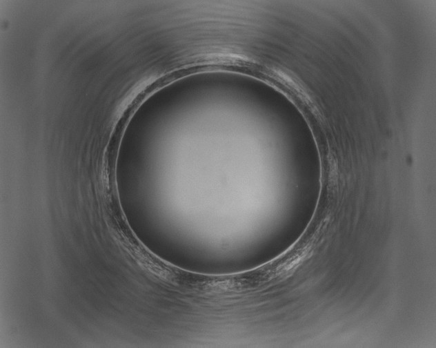 X0000078260883200611031200