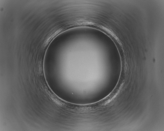 X0000078260889200611031159