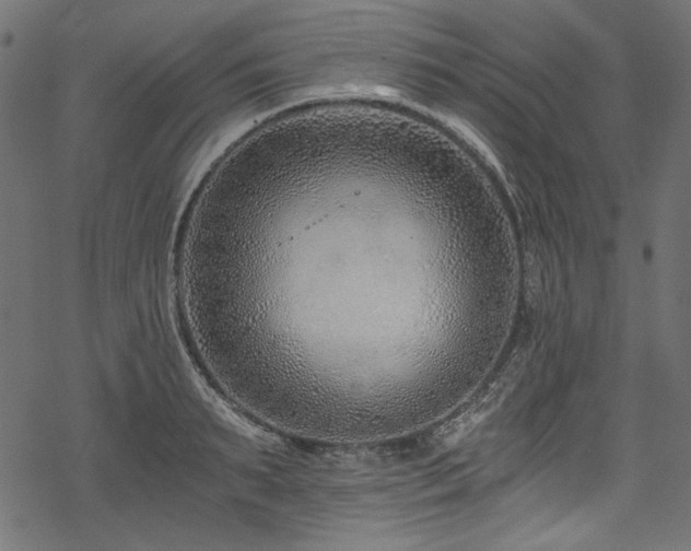 X0000078260895200611031159