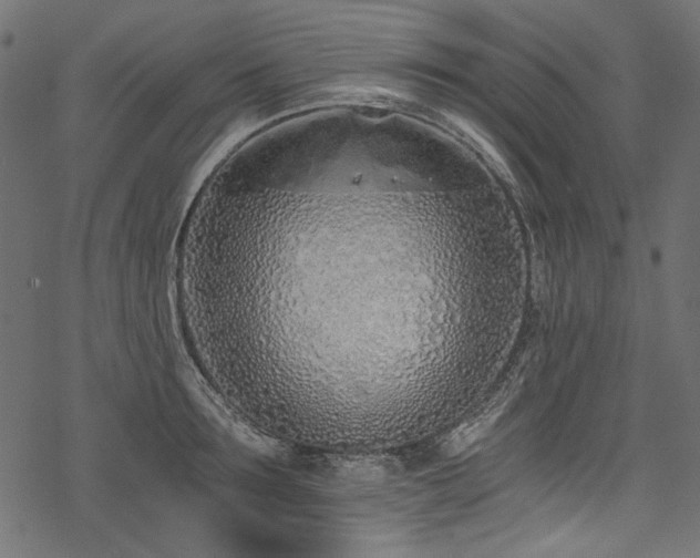 X0000078260899200611031159