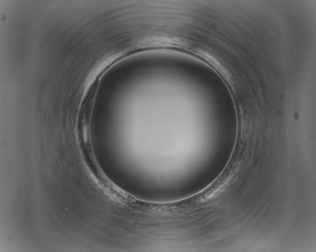 X0000078260901200611031159