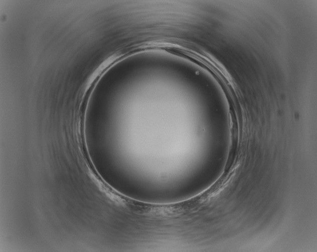 X0000078260909200611031159