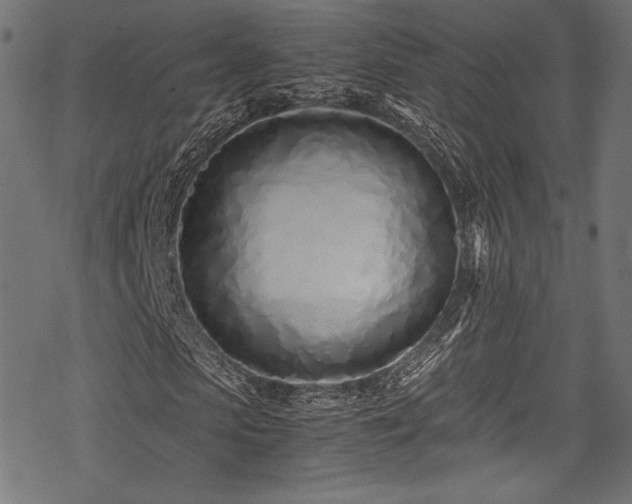 X0000078260913200611031158