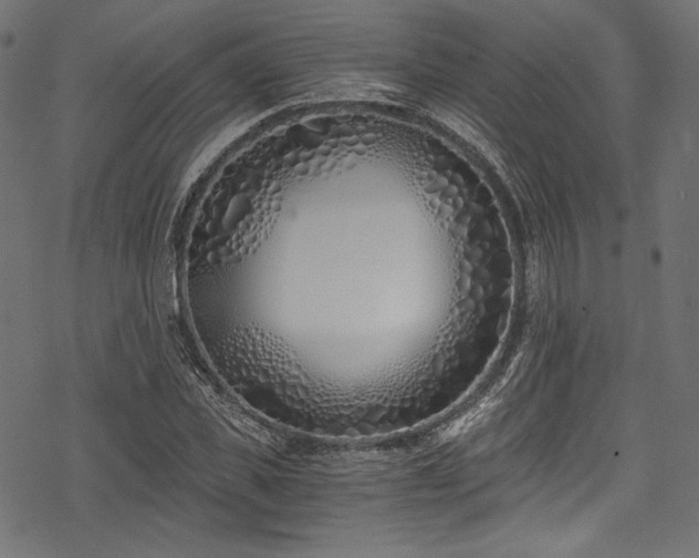 X0000078260925200611031159
