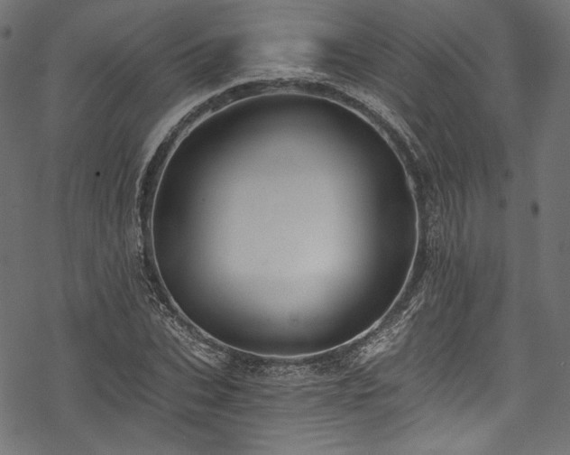 X0000078260927200611031159