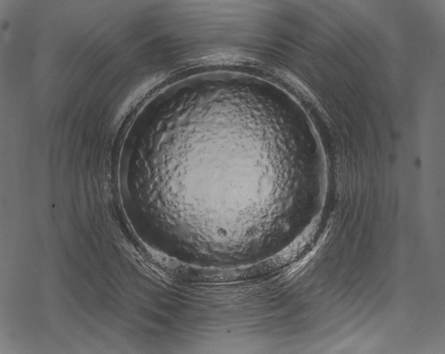 X0000078260930200611031159