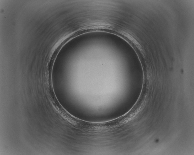 X0000078260933200611031159