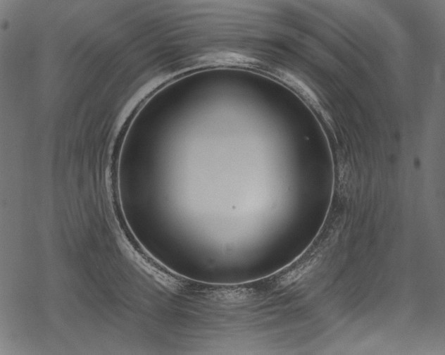 X0000078260947200611031159