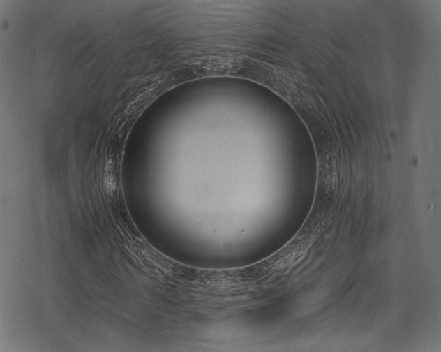 X0000078260962200611031158