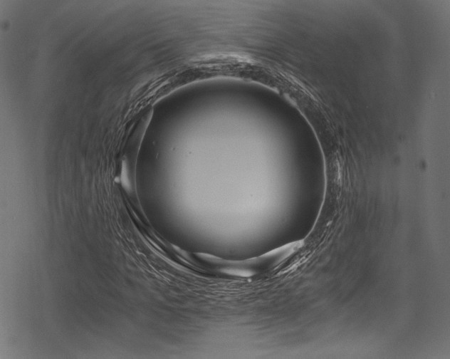 X0000078260965200611031158