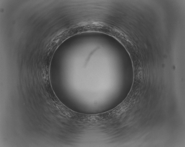 X0000078260966200611031158