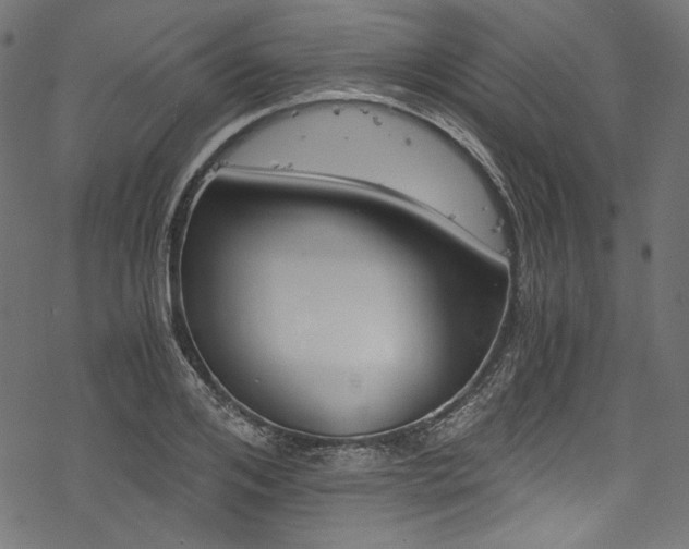 X0000078260984200611031158