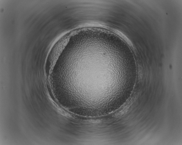 X0000078260996200611031158