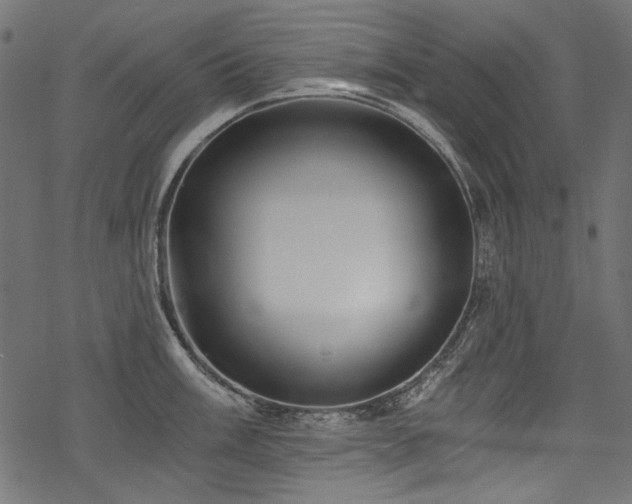 X0000078261003200611031158