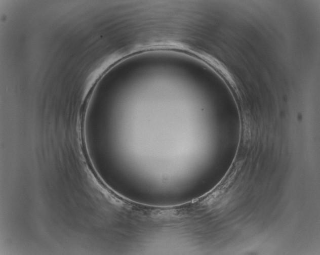 X0000078261006200611031158