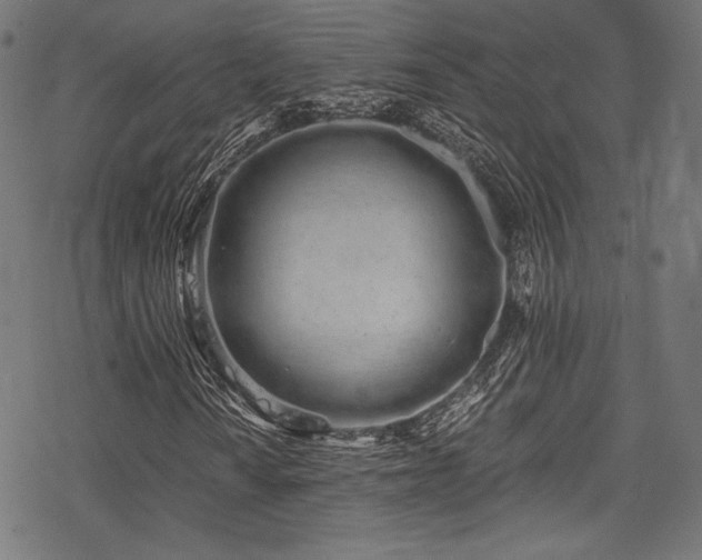 X0000078261010200611031157