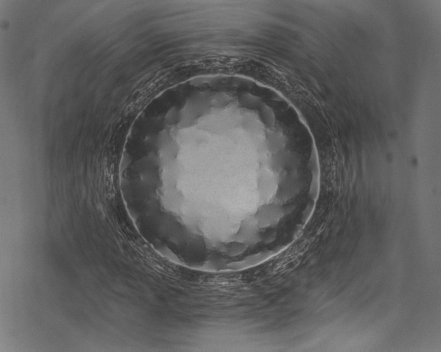 X0000078261013200611031157