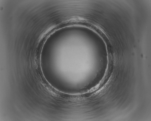 X0000078261018200611031157
