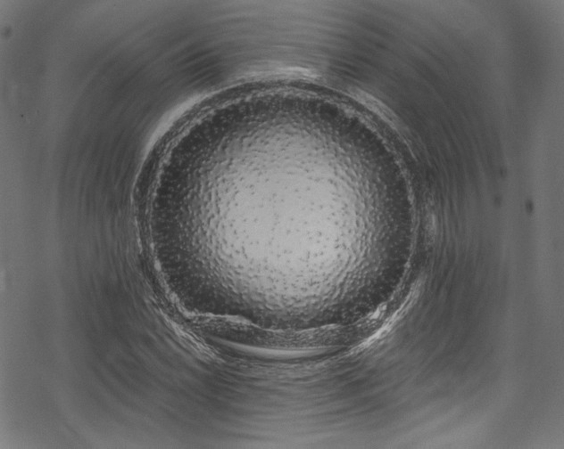 X0000078261022200611031157