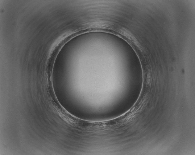 X0000078261027200611031157