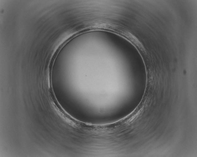 X0000078261036200611031157