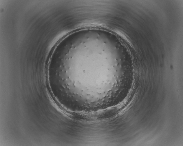 X0000078261038200611031157