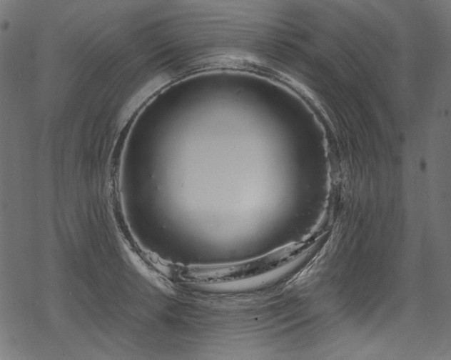 X0000078261042200611031157