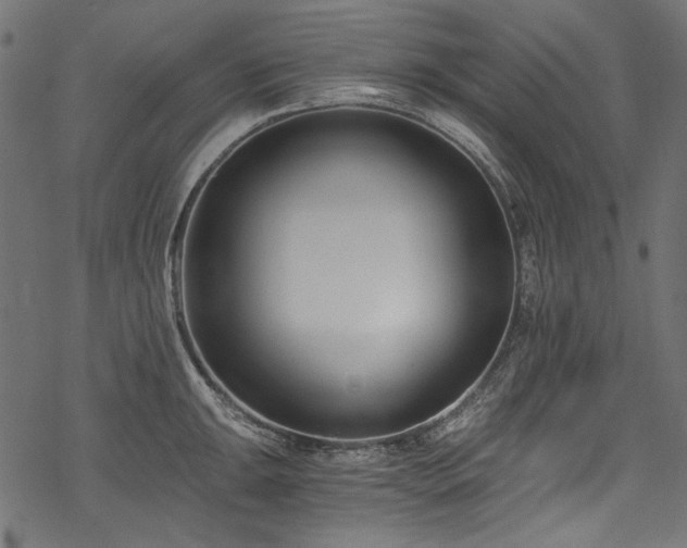 X0000078261047200611031157