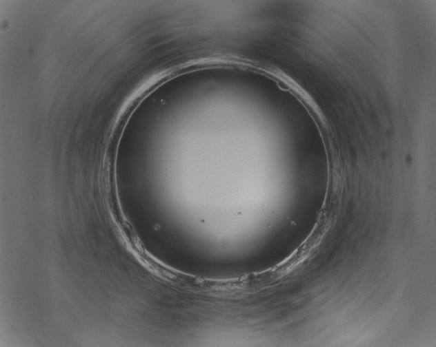 X0000078261053200611031157