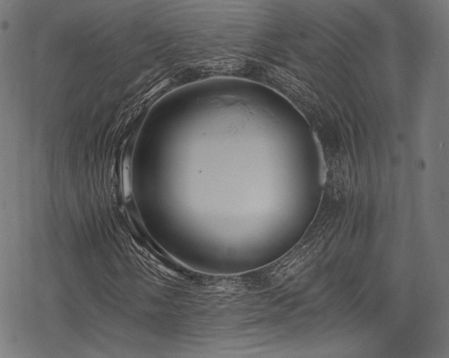 X0000078261058200611031157