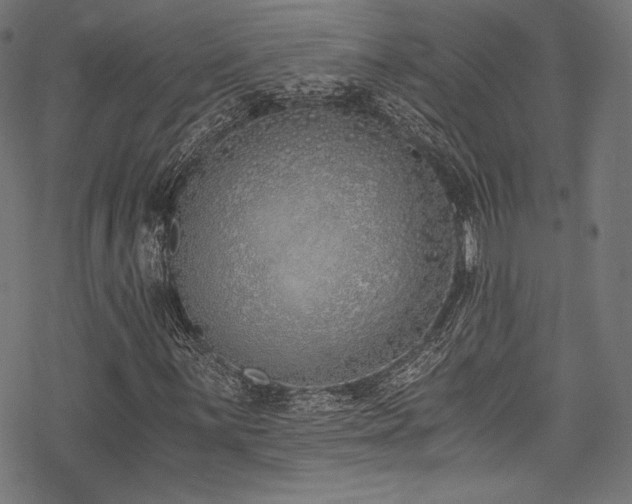 X0000078261059200611031157