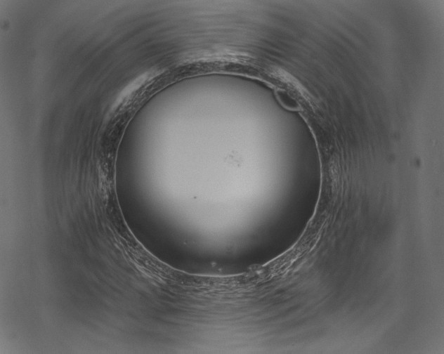 X0000078261064200611031157