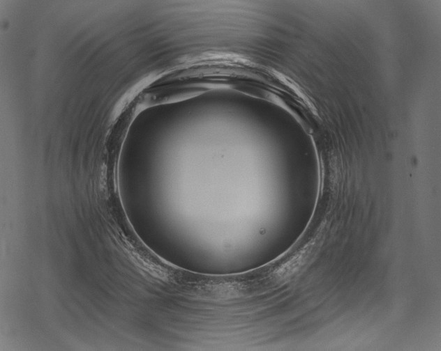 X0000078261066200611031157