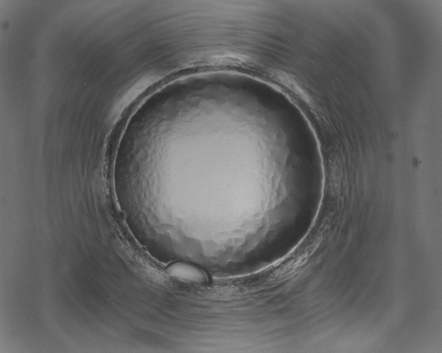 X0000078261071200611031157