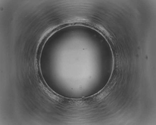 X0000078261072200611031157