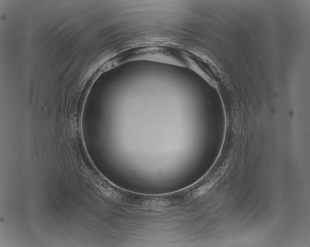 X0000078261073200611031156