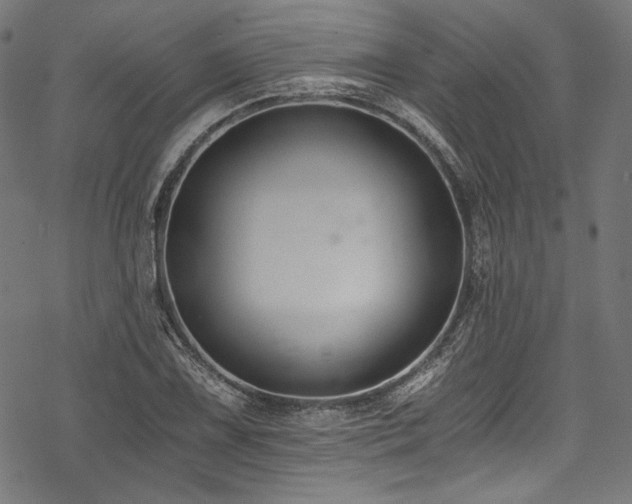 X0000078261075200611031156