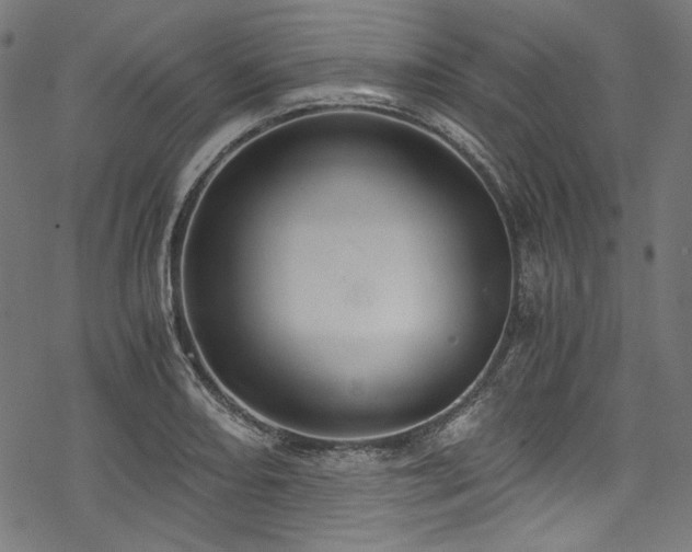 X0000078261082200611031156