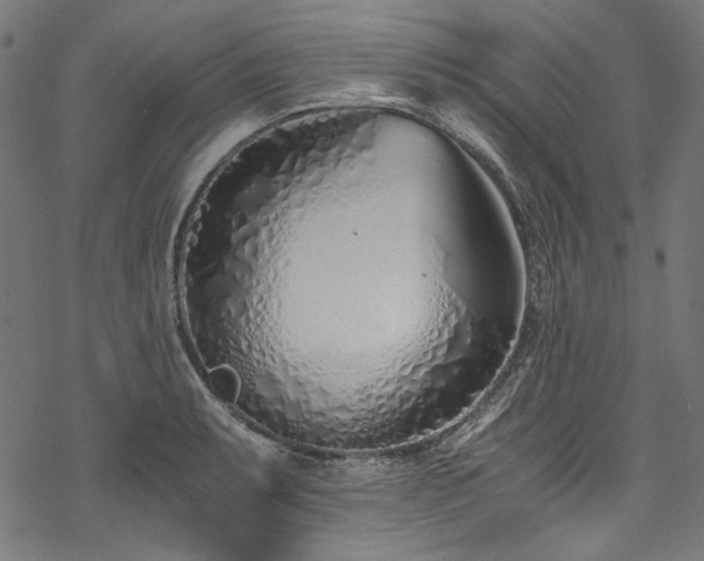 X0000078261087200611031156