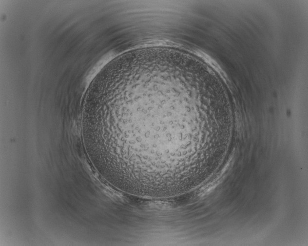 X0000078261097200611031156