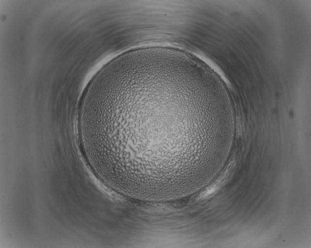 X0000078261101200611031156