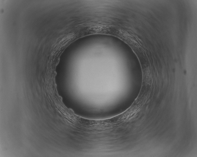 X0000078261105200611031155