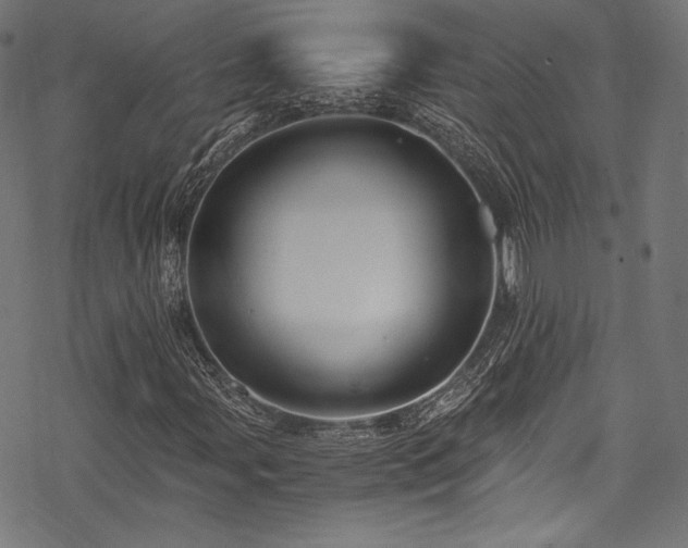 X0000078261107200611031155