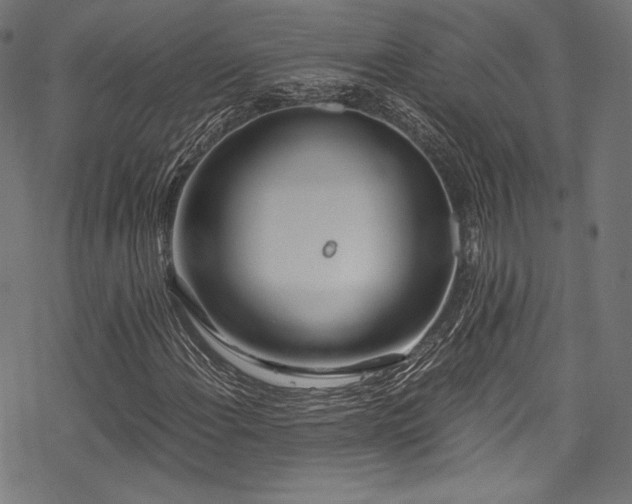 X0000078261108200611031155