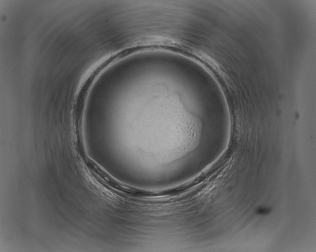 X0000078261120200611031155