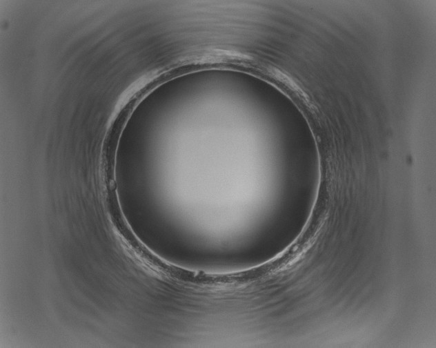 X0000078261122200611031155