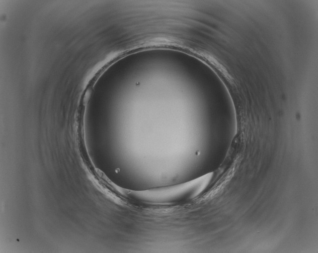 X0000078261134200611031156
